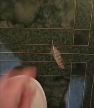 Is this yours