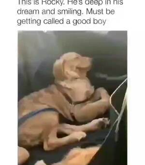 Must be a good boy
