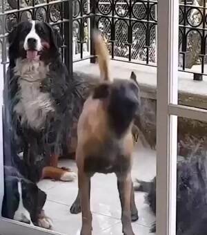 Dancing my way inside