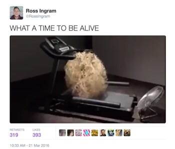 What a time to be alive