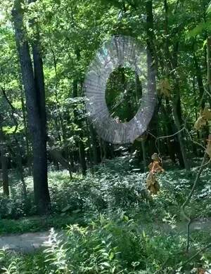 Perfect web