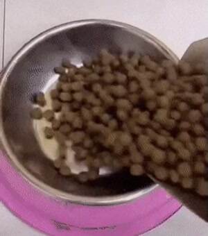 Go go go go go go go go