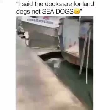 Get out of here sea dogs