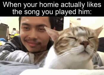 Actually like it