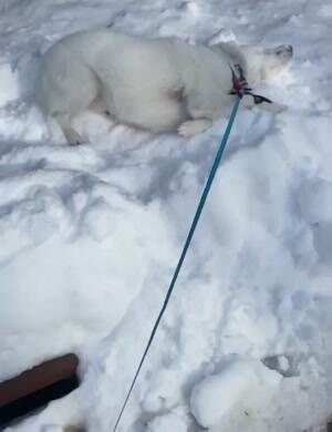 Loving that snow
