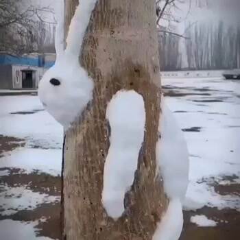 Bunny in the tree