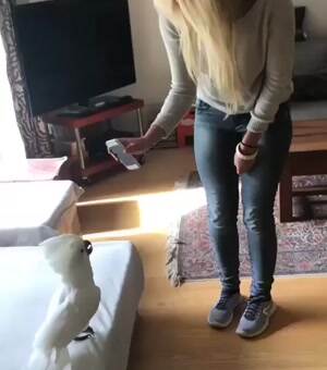 Dance the dance
