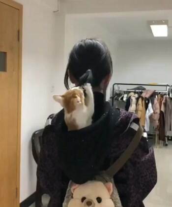 Playing with your hair