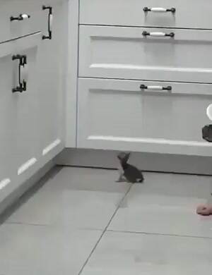 Almost made the jump