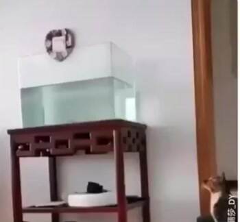 Come on in the water is warm