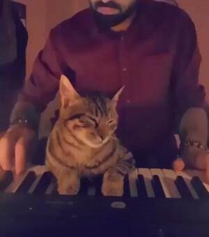 Playing some keyboards