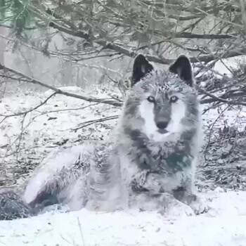 Nature is awesome