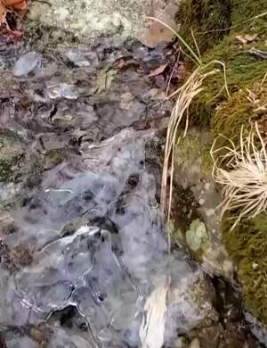Coo0l stream