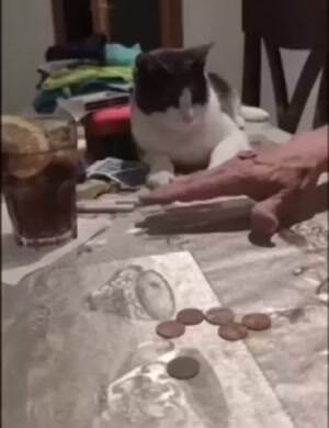 Nice trick