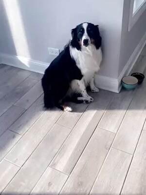 I really do not want that