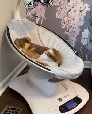 Rocking him to sleep