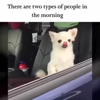 There are 2 types of people in the morning