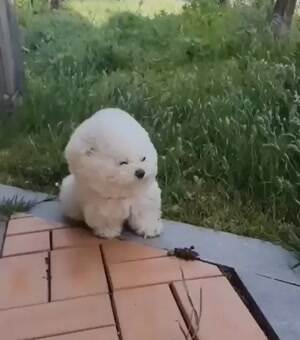 Windy Day