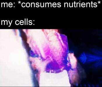 My Cells