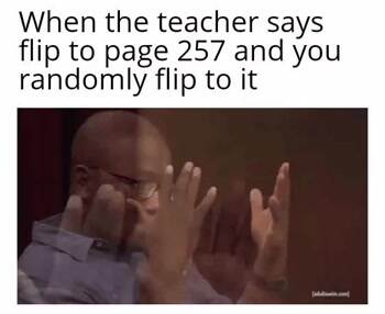 Random Flip