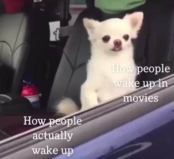 How people actually wake up