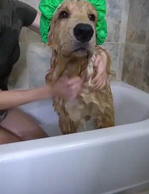 Good boy showing how to bath