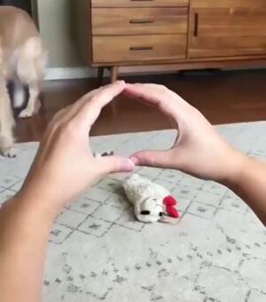Let me boop you