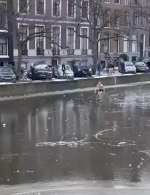 Meanwhile in Amsterdam