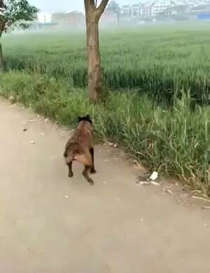 How to get a stick