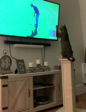 Getting that ball