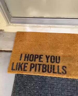 Hope you like pitbulls