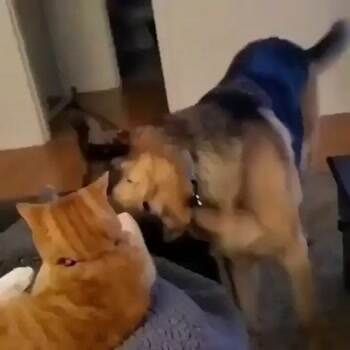Get get off already