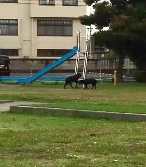 We love the playground