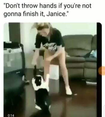 Finish it