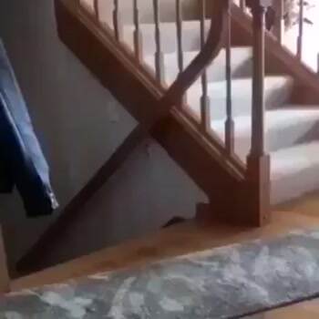 Surprise ninja attack