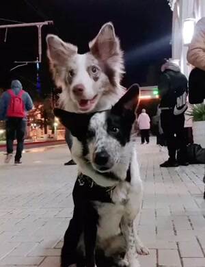 Just being cute together