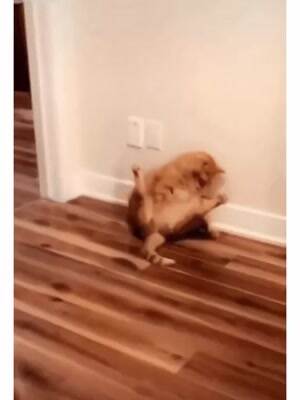 Knock First would you