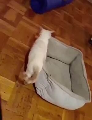 Making the perfect Box