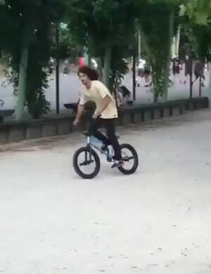 Tree Flipper