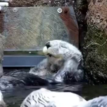 Cuddling myself