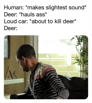 Deer in a nutshell