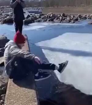 The ice