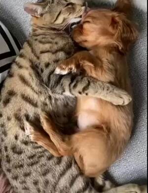 Just cuddling a little