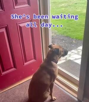 Been waiting all day