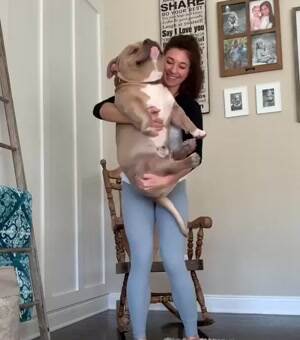 Big Baby
