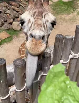 Nommmm nom nom nommmm