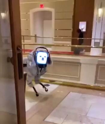 The Dogbot