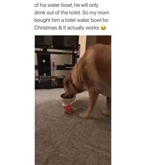 Will you drink out of this