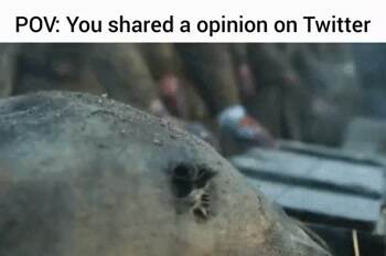 Sharing your opinion on twitter