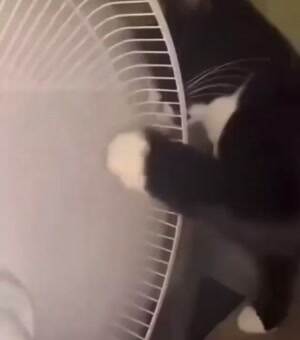 What the hell are you doing